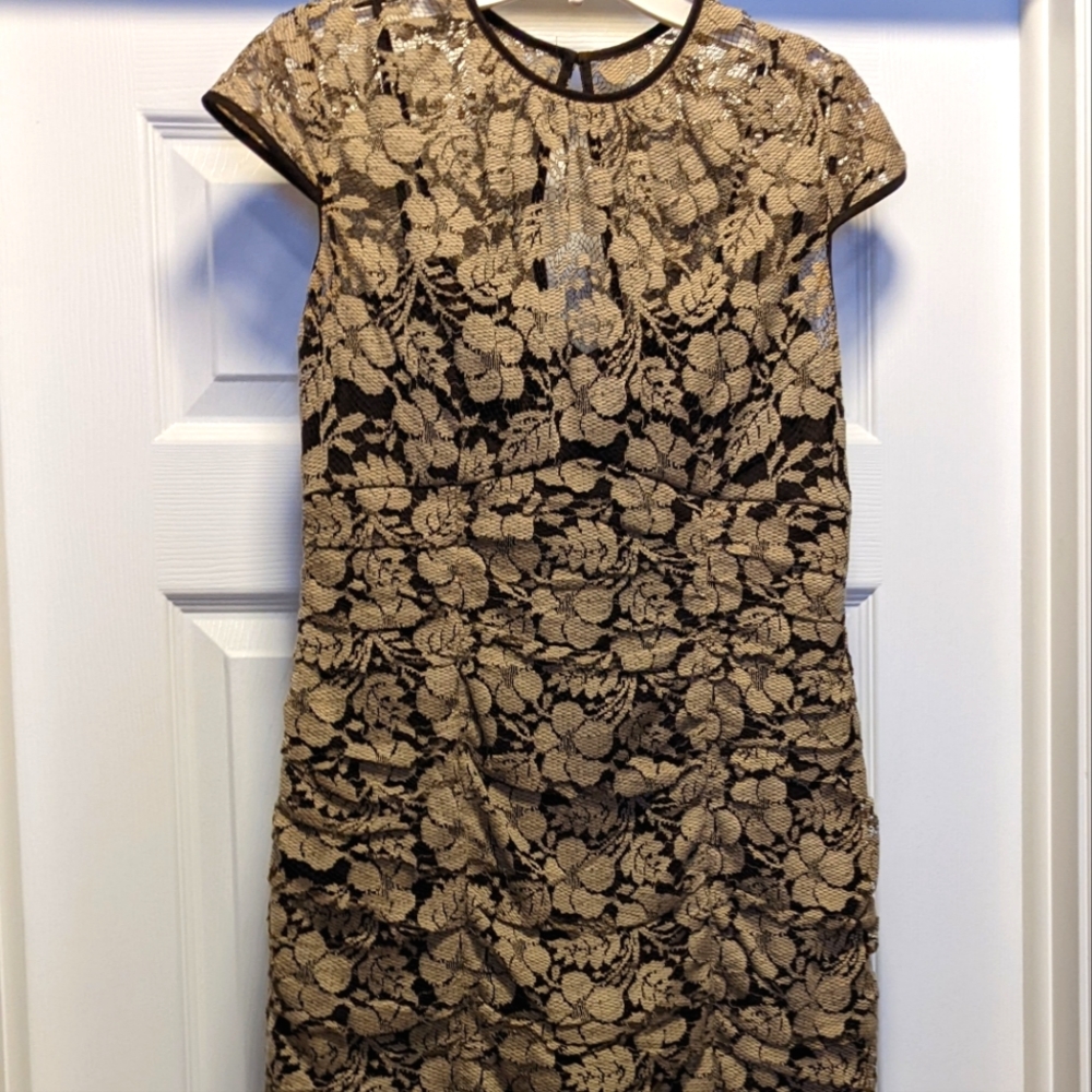 Adrianna Papell Size 4 Dress, Brown with Eggshell Floral Lace Overlay
